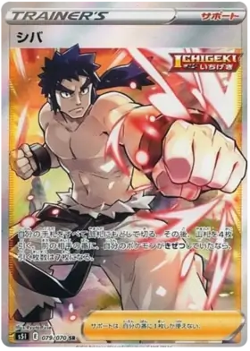 Bruno Pokemon card from Single Strike Master