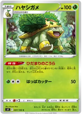 Grotle Pokemon card from Star Birth