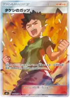 Brock's Grit Pokemon card from Tag Bolt