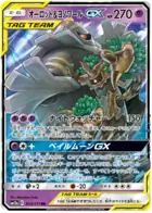 Trevenant & Dusknoir GX Pokemon card from Tag Team GX All Stars