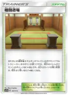Martial Arts Dojo Pokemon card from Tag Team GX All Stars