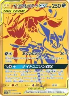 Greninja & Zoroark GX Pokemon card from Tag Team GX All Stars