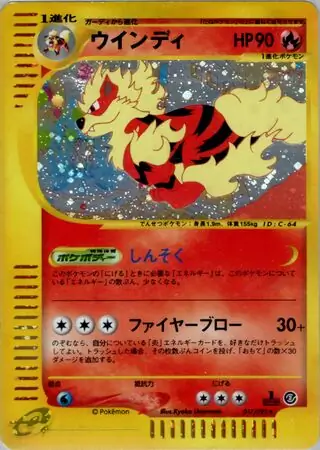 Arcanine Pokemon card from The Town on No Map