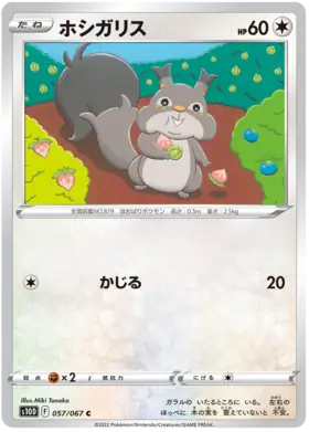 Skwovet Pokemon card from Time Gazer
