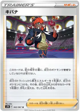 Raihan Pokemon card from Towering Perfection