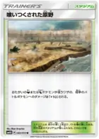 Decayed Wasteland Pokemon card from Transdimensional Beast