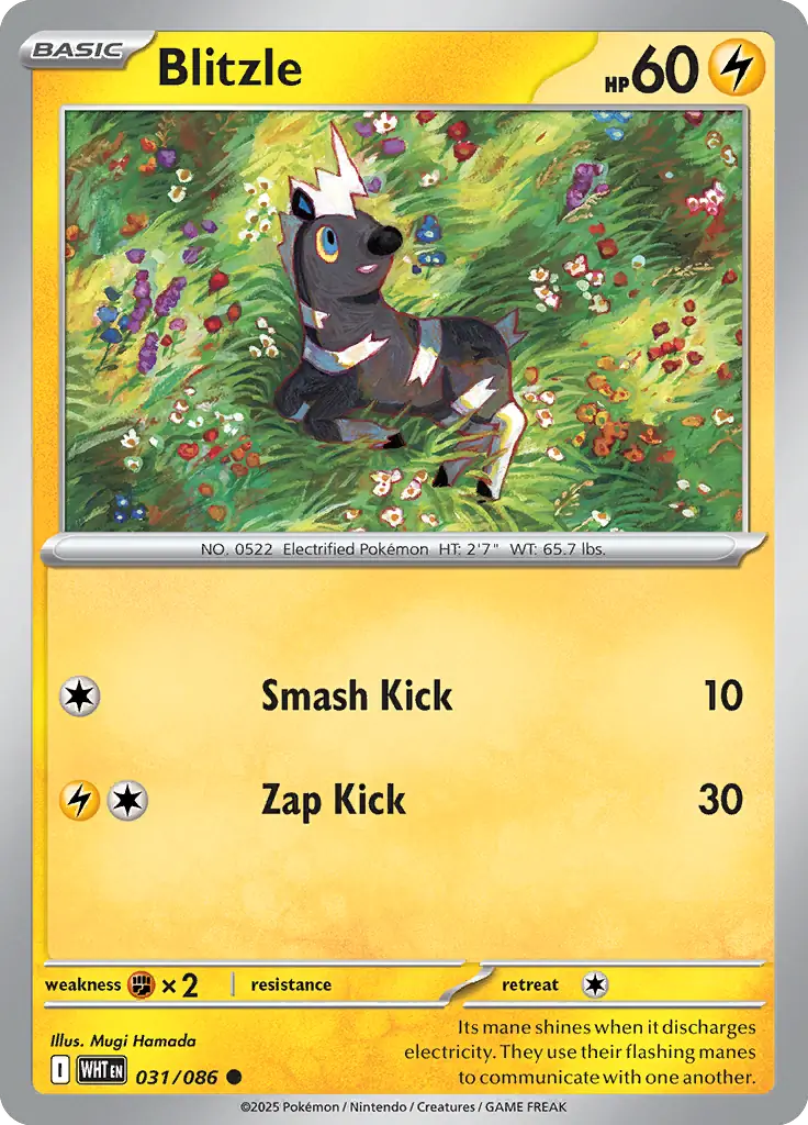 Blitzle Pokemon card from White Flare