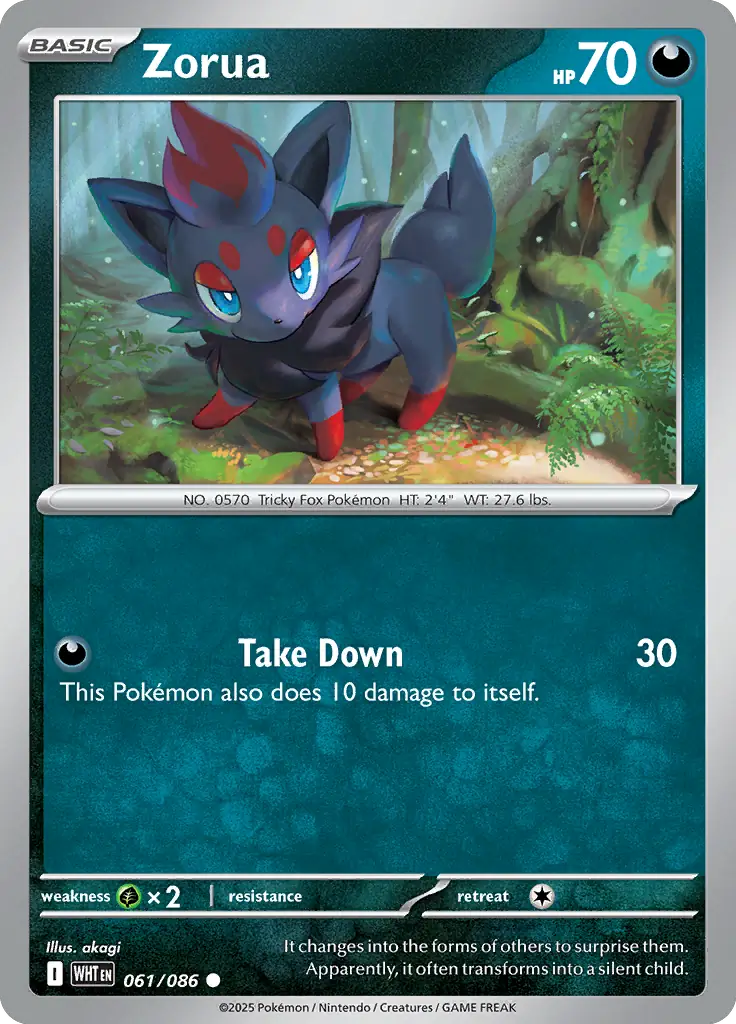 Zorua Pokemon card from White Flare