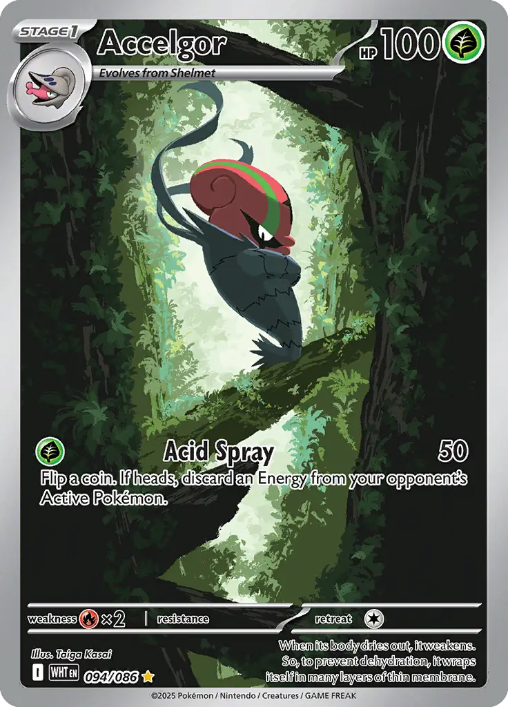 Accelgor Pokemon card from White Flare