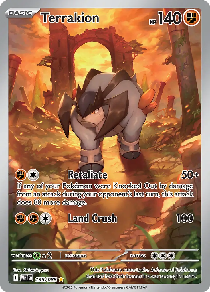 Terrakion Pokemon card from White Flare