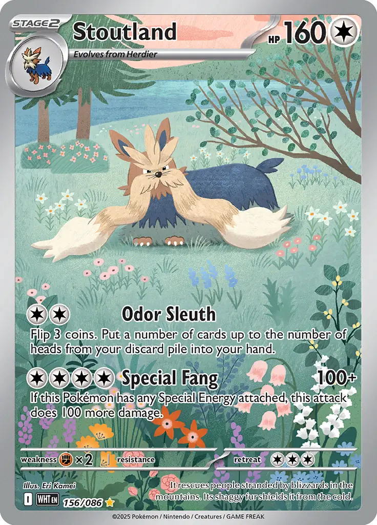 Stoutland Pokemon card from White Flare