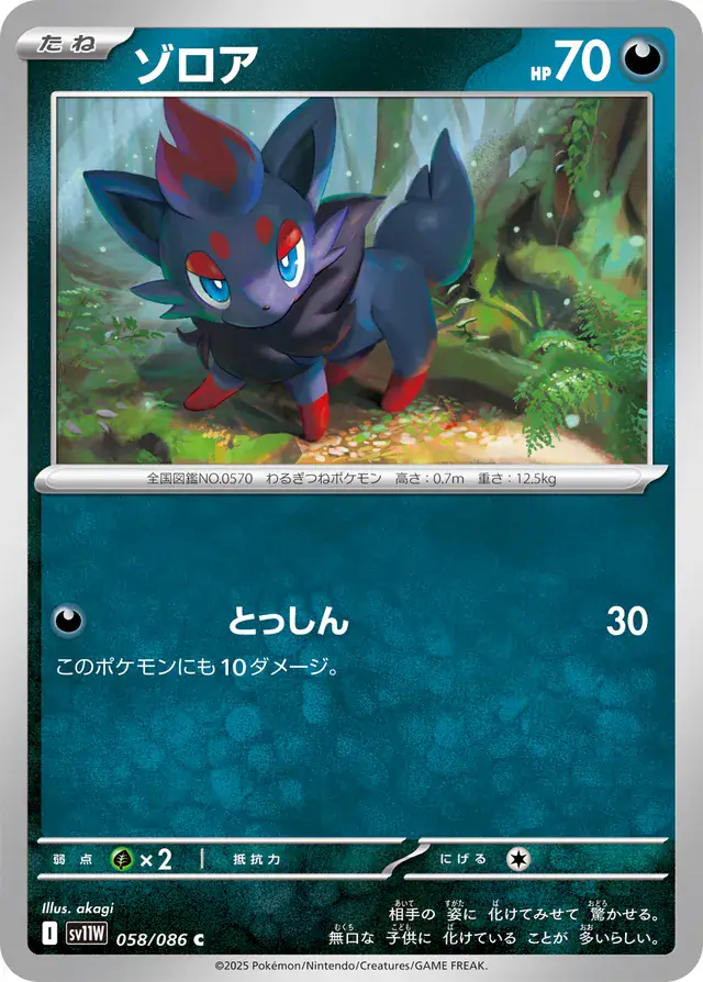 Zorua Pokemon card from White Flare Japanese