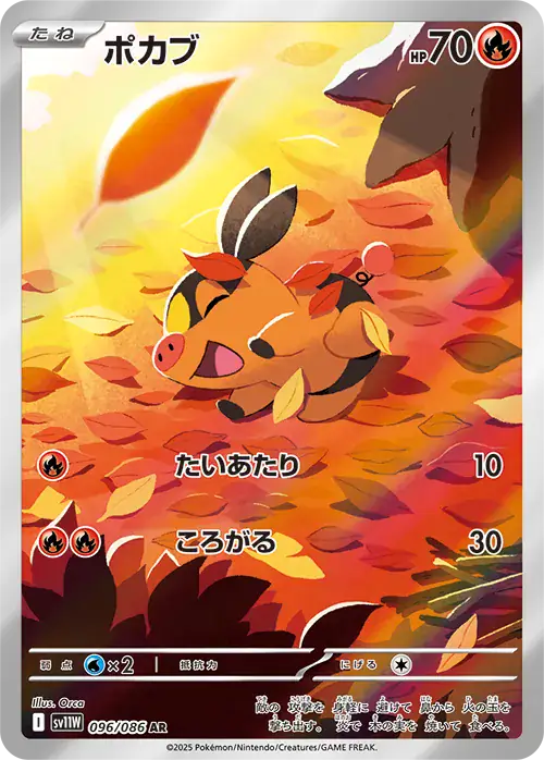 Tepig Pokemon card from White Flare Japanese