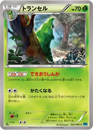 Metapod Pokemon card from Wild Blaze