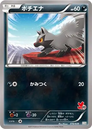 Poochyena Pokemon card from XY Beginning Set