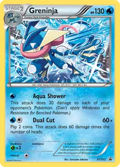 Greninja Pokemon card from XY Black Star Promos