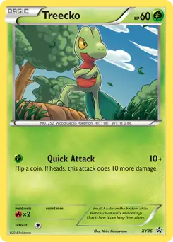 Treecko Pokemon card from XY Black Star Promos