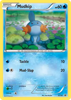 Mudkip Pokemon card from XY Black Star Promos