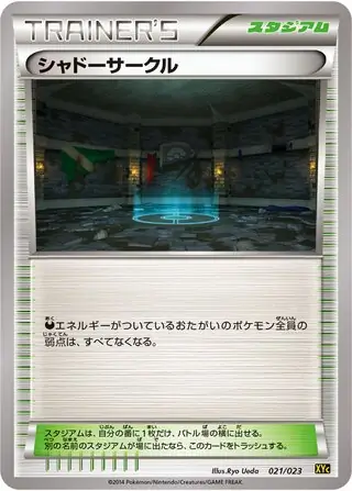 Shadow Circle Pokemon card from Xerneas-EX & Yveltal-EX Super Legend Set