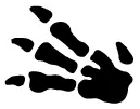 Fossil 1st Edition symbol