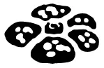 Jungle 1st Edition symbol